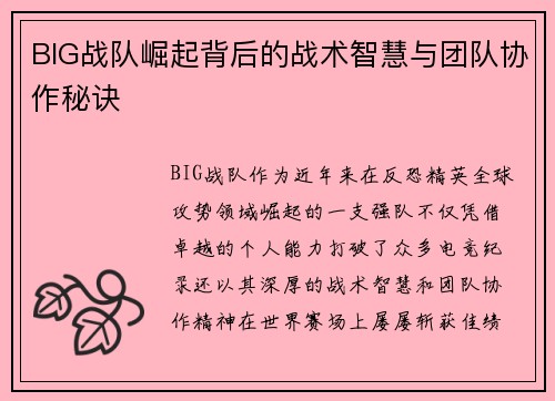 BIG战队崛起背后的战术智慧与团队协作秘诀